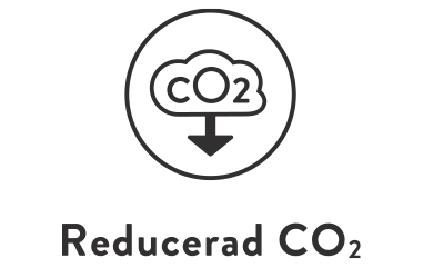 Ikon reducerad CO2